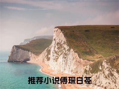 傅琛白苓小说全文-（傅琛白苓）精选小说大结局阅读