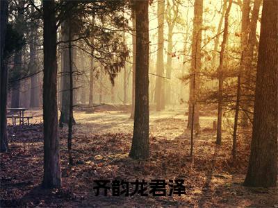 齐韵龙君泽免费小说 齐韵龙君泽在线小说免费阅读目录
