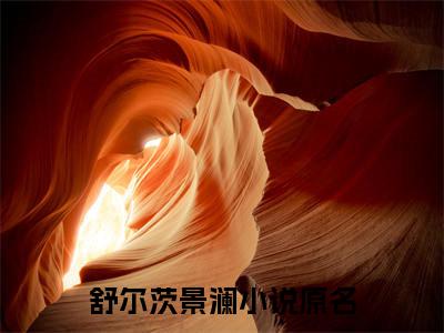 舒尔茨景澜小说全文（舒尔茨景澜）全文免费阅读无弹窗大结局_舒尔茨景澜小说全文最新章节列表_笔趣阁