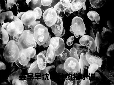 姜早早沈听肆最新章节（姜早早沈听肆）全文免费阅读无弹窗大结局_姜早早沈听肆小说全文免费阅读正版无弹窗_笔趣阁