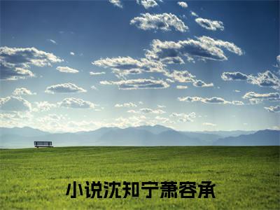 沈知宁萧容承小说全文（沈知宁萧容承）全文免费阅读无弹窗大结局_沈知宁萧容承小说免费最新章节列表_笔趣阁（沈知宁萧容承）