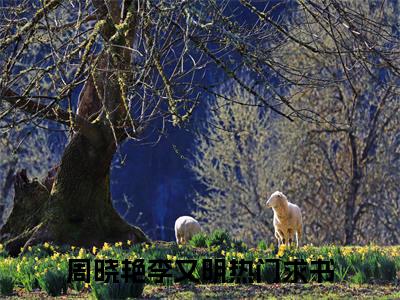 周晓艳李又明后续+番外（周晓艳李又明）全文免费阅读无弹窗大结局_周晓艳李又明最新章节列表_笔趣阁（周晓艳李又明后续+番外）