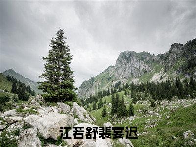 江若舒裴宴迟在线阅读小说推荐-江若舒裴宴迟免费阅读全文