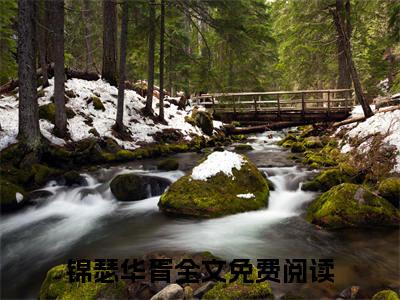 （锦瑟华胥）抖音锦瑟华胥小说阅读完结版-小说锦瑟华胥全文免费阅读