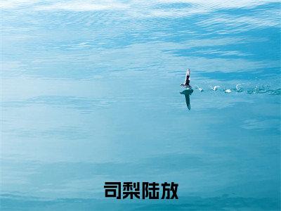 司梨陆放是哪部小说的主角-（司梨陆放）全文无弹窗完整版阅读