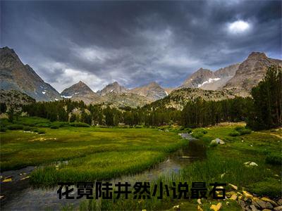 (番外)+(全文)花霓陆井然后续+番外小说免费下载阅读花霓陆井然后续+番外小说最新章节列表_笔趣阁（花霓陆井然后续+番外）