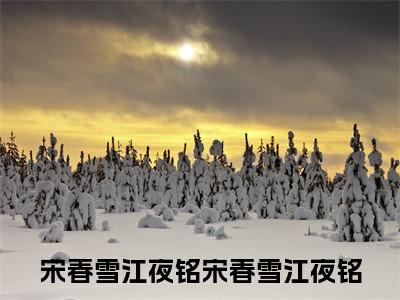 宋春雪江夜铭全文免费阅读大结局_宋春雪江夜铭最新章节列表_笔趣阁（宋春雪江夜铭）