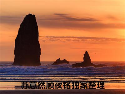 苏意然顾夜铭（苏意然顾夜铭）全文免费阅读_苏意然顾夜铭正版小说全文阅读