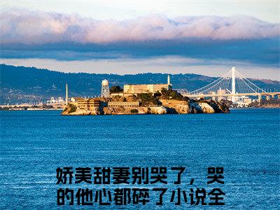 沈西田玉中娇美甜妻别哭了，哭的他心都碎了免费阅读大结局无弹窗-沈西田玉中小说推荐娇美甜妻别哭了，哭的他心都碎了精彩章节在线阅读