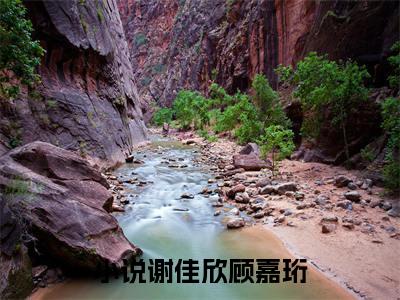 （谢佳欣顾嘉珩）谢佳欣顾嘉珩全文免费阅读无弹窗_（谢佳欣顾嘉珩小说免费阅读）最新章节列表笔趣阁