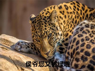 如小苒（侯爷您又被绿啦）全文免费阅读无弹窗大结局_侯爷您又被绿啦最新章节列表_笔趣阁