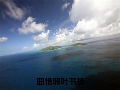 曲惜珊叶书扬(曲惜珊叶书扬)全文免费阅读大结局_曲惜珊叶书扬免费在线阅读无删减