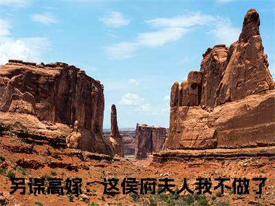 （姜舒沈长泽小说免费阅读）另谋高嫁：这侯府夫人我不做了全文免费阅读无弹窗大结局-姜舒沈长泽全文免费版阅读