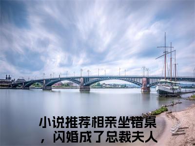 安柠宴时琛（相亲坐错桌，闪婚成了总裁夫人）全文免费阅读最新章节_安柠宴时琛大结局精彩阅读_笔趣阁（相亲坐错桌，闪婚成了总裁夫人）