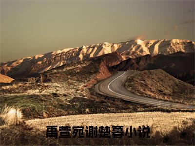 禹萱宛谢楚暮（禹萱宛谢楚暮）最新章节免费阅读全文-完结小说禹萱宛谢楚暮在线阅读