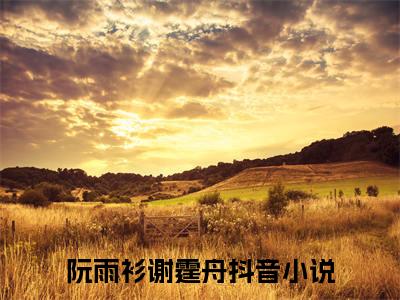 精选好书（阮雨衫谢霆舟），阮雨衫谢霆舟全文无删减版在线阅读