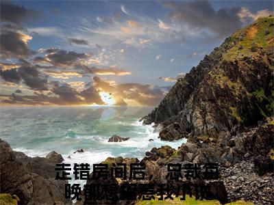 走错房间后，总裁每晚都想招惹我（陆明月晏承之）全文免费阅读无弹窗大结局_（陆明月晏承之无弹窗）最新章节免费阅读_笔趣阁