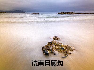 沈南月顾均小说大结局免费阅读（沈南月顾均）-完结版沈南月顾均小说免费阅读