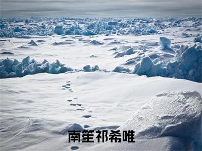 南笙祁希唯小说（南笙祁希唯）无弹窗大结局- 南笙祁希唯全文阅读
