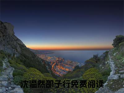 沈温然邵子行全文免费完整版，沈温然邵子行最新章节完整版阅读