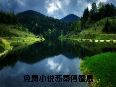 苏秦傅霆晟（苏秦傅霆晟）是什么小说-（苏秦傅霆晟）无弹窗免费阅读大结局最新章节列表_笔趣阁