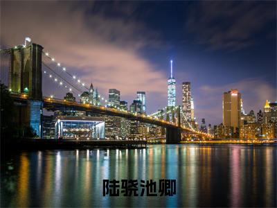 陆骁池卿（陆骁池卿）全文免费阅读无弹窗大结局_陆骁池卿最新章节列表_笔趣阁（陆骁池卿）