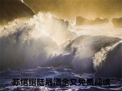 苏绾绾陆晟清小说后续阅读无弹窗大结局_（苏绾绾陆晟清阅读无弹窗）最新章节列表_笔趣阁（苏绾绾陆晟清）
