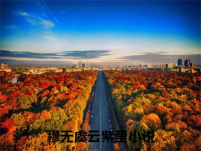 穆无虞云紫莹（穆无虞云紫莹）高收藏小说在线阅读-穆无虞云紫莹阅读结局
