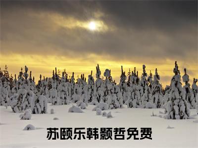 苏颐乐韩颢哲小说大结局完整版阅读，苏颐乐韩颢哲小说全文在线阅读
