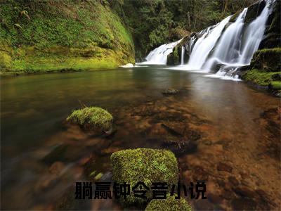末世：我靠经营安全酒店（躺赢钟令音小说）全文免费阅读无弹窗大结局_躺赢钟令音小说最新章节列表