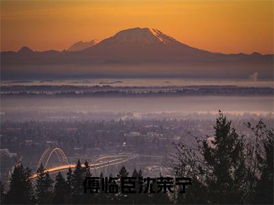 完本小说（傅临臣沈茉宁）精彩试读-傅临臣沈茉宁小说大结局