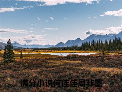 何佳佳周非墨全文免费阅读_何佳佳周非墨最新小说_笔趣阁