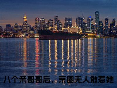 八个亲哥哥后，京圈无人敢惹她小说免费阅读（叶小汐叶以辰）全文免费阅读大结局-（八个亲哥哥后，京圈无人敢惹她小说免费阅读）好书推荐