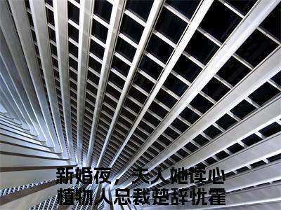 新婚夜，夫人她读心植物人总裁（楚辞忧霍庭琛）全文免费读无弹窗大结局_楚辞忧霍庭琛免费小说新婚夜，夫人她读心植物人总裁读无弹窗最新章节列表