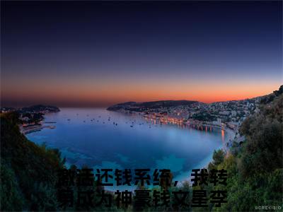 小说（激活还钱系统，我转身成为神豪）_钱文星李海洋全文阅读_激活还钱系统，我转身成为神豪免费阅读大结局