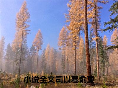 司以寒俞夏是哪部小说的主角-《司以寒俞夏》全文无弹窗完整版阅读