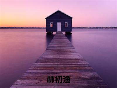 穿成极品恶婆婆后，她赚麻了（林初渔）全文免费大结局，穿成极品恶婆婆后，她赚麻了结局在线阅读