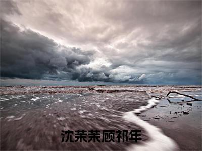 沈茉茉顾祁年小说（沈茉茉顾祁年）全文免费阅读无弹窗大结局_沈茉茉顾祁年小说免费阅读_笔趣阁