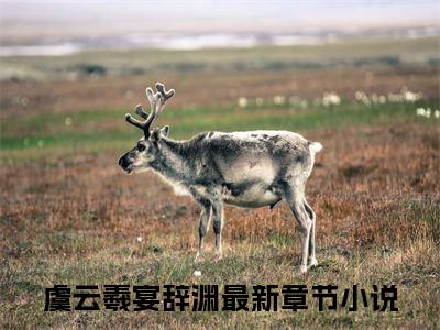 虞云羲宴辞渊(虞云羲宴辞渊)全文免费阅读无弹窗大结局_虞云羲宴辞渊完整版在线阅读章节列表_笔趣阁