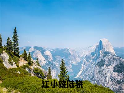 江小娆陆骁完结版阅读《江小娆陆骁》最新章节目录好书推荐_(江小娆陆骁)