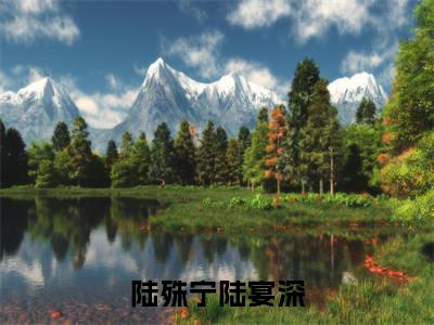 陆殊宁陆宴深小说免费阅读全文在线阅读，陆殊宁陆宴深的小说在线阅读全文