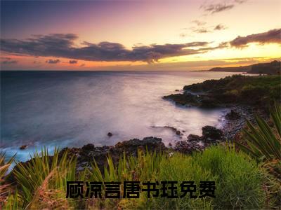顾凉言唐书珏（顾凉言唐书珏）抖音热推小说全集无删减，顾凉言唐书珏完整章节阅读