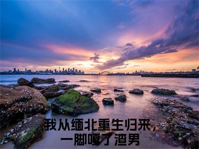 我从缅北重生归来，一脚嘎了渣男是靳斯言陆知夏的小说（我从缅北重生归来，一脚嘎了渣男）免费读_小说免费靳斯言陆知夏读-笔趣阁