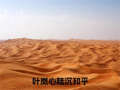 叶岚心陆沉小说（叶岚心陆沉）全文免费阅读无弹窗大结局_叶岚心陆沉最新章节列表_笔趣阁（叶岚心陆沉）