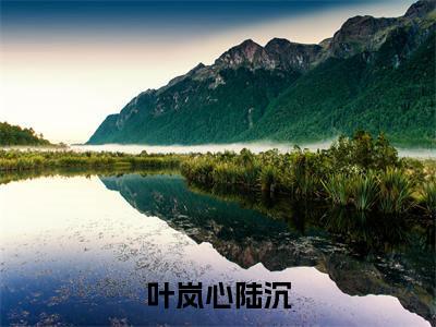 高赞小说（叶岚心陆沉小说免费阅读）完结阅读_叶岚心陆沉全文免费阅读最新章节大结局
