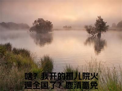 啥？我开的孤儿院火遍全国了？鹿清蔷小说（啥？我开的孤儿院火遍全国了？鹿清蔷）全文免费阅读-啥？我开的孤儿院火遍全国了？鹿清蔷全文阅读无弹窗