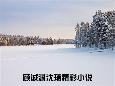 顾诚渊沈璃小说全文(顾诚渊沈璃)免费阅读全文无弹窗大结局_ 顾诚渊沈璃免费阅读无弹窗小说_笔趣阁