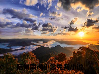 陆景南柳小念（陆景南柳小念）全文免费阅读大结局-（陆景南柳小念）结局免费阅读