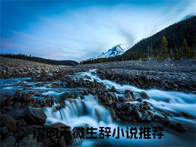 沈昀禾微生辞（沈昀禾微生辞）全文免费阅读无弹窗大结局_沈昀禾微生辞免费最新章节列表_笔趣阁（沈昀禾微生辞）