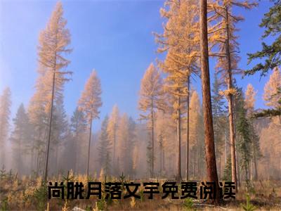 王爷影响了我的拔剑速度（尚胧月落文宇全文免费阅读）无弹窗-王爷影响了我的拔剑速度（尚胧月落文宇）完整版在线赏析笔趣阁